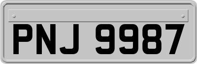 PNJ9987