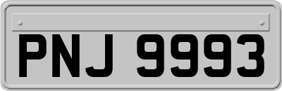 PNJ9993