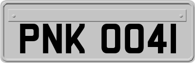 PNK0041