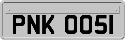 PNK0051