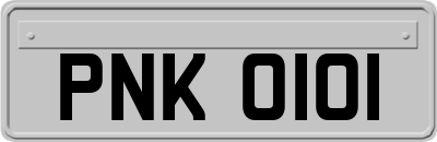 PNK0101