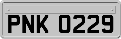 PNK0229