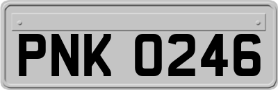 PNK0246