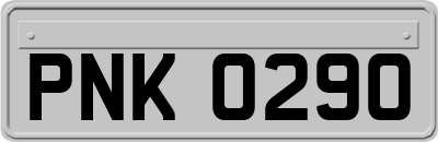 PNK0290