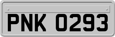 PNK0293