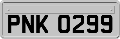 PNK0299