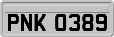 PNK0389