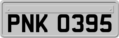 PNK0395