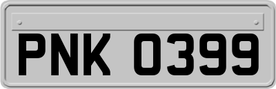 PNK0399