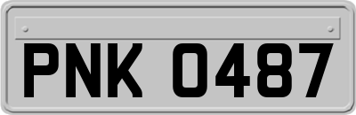 PNK0487