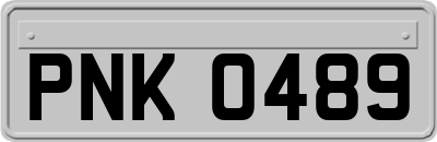 PNK0489