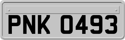 PNK0493