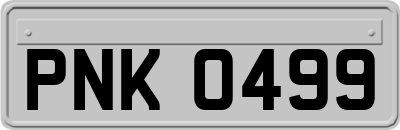 PNK0499