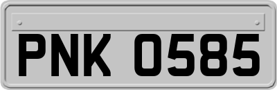 PNK0585