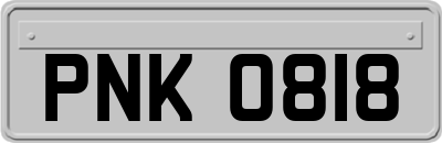 PNK0818