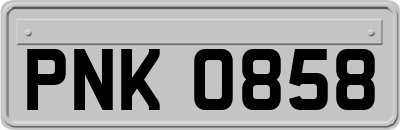 PNK0858