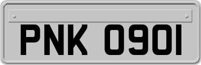PNK0901