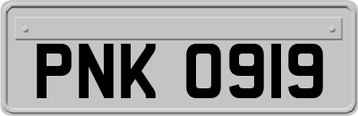PNK0919