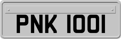 PNK1001