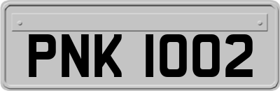 PNK1002