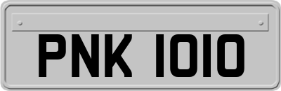 PNK1010