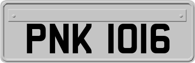 PNK1016
