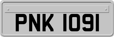 PNK1091