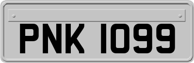 PNK1099