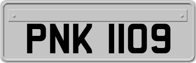PNK1109