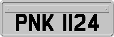 PNK1124