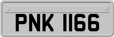 PNK1166