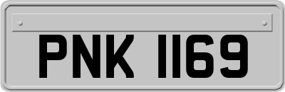 PNK1169