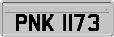 PNK1173