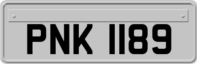 PNK1189