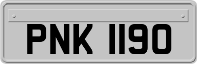 PNK1190