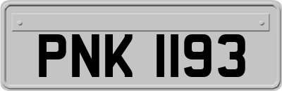 PNK1193