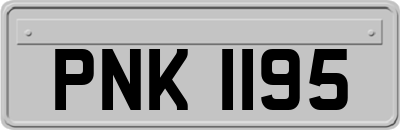 PNK1195