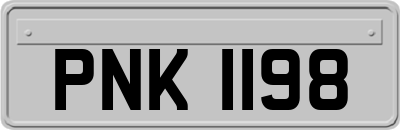 PNK1198