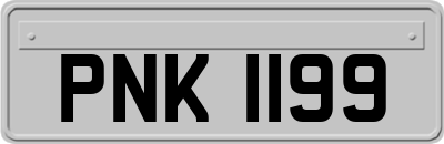 PNK1199