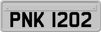 PNK1202