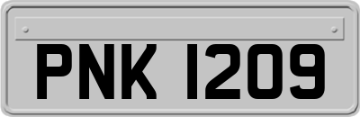PNK1209