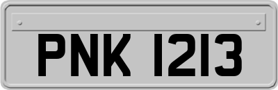 PNK1213