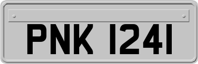 PNK1241