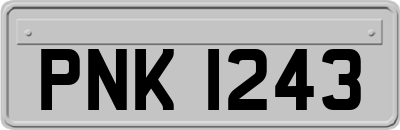 PNK1243