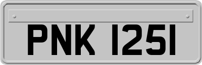 PNK1251