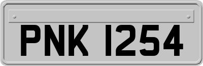PNK1254