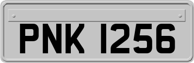 PNK1256
