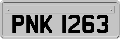 PNK1263