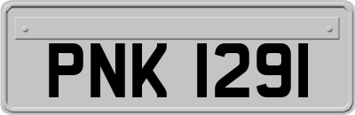 PNK1291