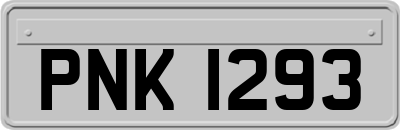 PNK1293